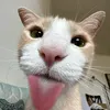 manyunya_fgdg