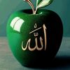 rimhfh.88