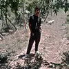 313karrar17