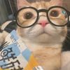 nancy_nan42
