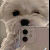 roxi.mi.youtuber.f
