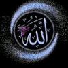aleen3128