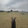 sol_polo1712