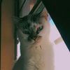 livethedeeam_45