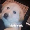 modoseri02
