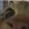 i.cats20