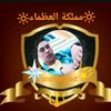 mohammed.atef225