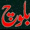 muzammil.blouch1