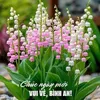 anh.dng.pkan