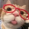 aliya_rus