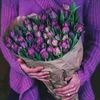 marwa.mahmoud816