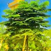 bakary.sakine