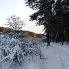 krasotisha_vokrug