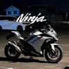 ninja250._.rider