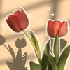 little_butterfly111