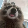 soggypenguin0