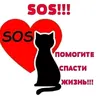 nataliklik_1406