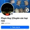tuyt.nguyn8366