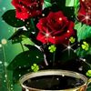 user3813701353014