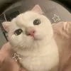 istrinhneee