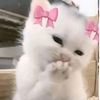 ghofrane_ghofrane8