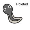 poletadfr