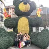 jieliu0496