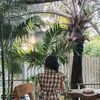 maliwan__11