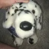 essacomfortplushy12lilly