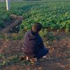 basem.hussein8