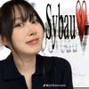 _sybau22