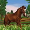 paulina_.starstable