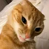 gialinh_0710
