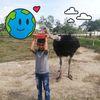 fredy.viuche