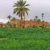 abdllaaziz.maghra