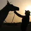 eng..n..aljabery
