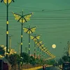 tiktok.commdhasibul3