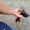 jackgriar