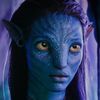 neytirisully42