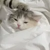 miiumauuu