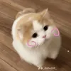 tr_thuhieen