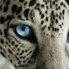 user5210821223633