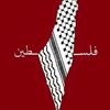rawda.mohamed234