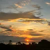sharief_1303