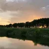 nyrvlink