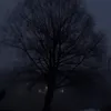 maia.off.ice