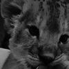 .iamasta