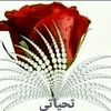 user76507456126188