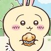 garf4984