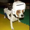 sollker_